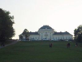 Fotoimpressionen vom Trainingslauf von Ditzingen zum Schloss Solitude